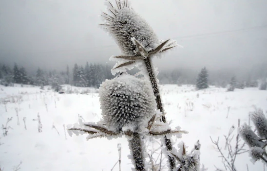 Kastamonu'nun En Soğuk Bölgesi Belli Oldu