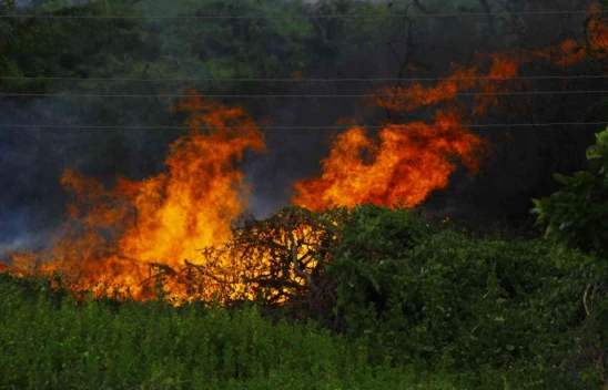 Kastamonu Orman Bölge Müdürlüğü'nden Duyarlılık Çağrısı