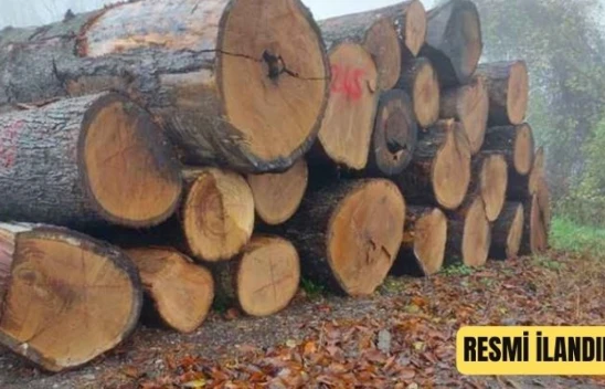 Kastamonu Orman İşletme Müdürlüğü Çatören, Subaşı Ve Kozkıran Depoları Orman Emvali İstifleme Hizmet Alımı İşi