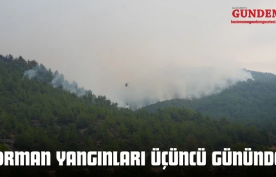 Kastamonu Orman Yangınları Üçüncü Gününde