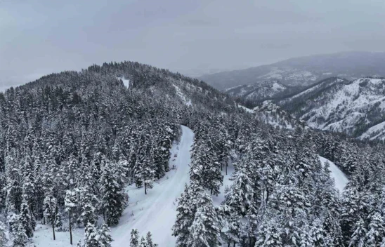 Kastamonu Ormanlarında Kış Güzelliği