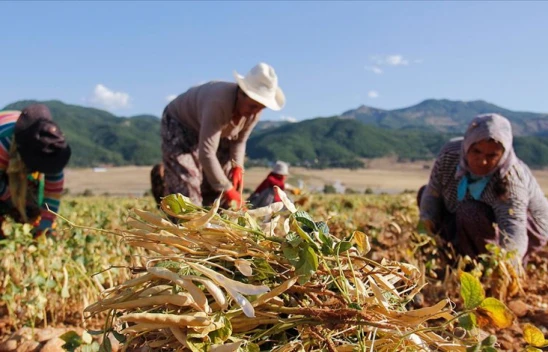 Kastamonu Tarım Müdürü'nden Kadın Çiftçilere Teşekkür