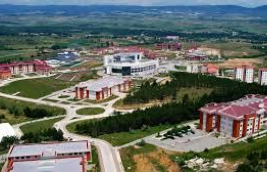 Kastamonu Üniversitesi'ne Uluslararası İş Birliği Ödülü