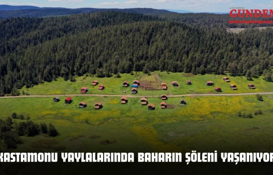Kastamonu Yaylalarında Baharın Şöleni Yaşanıyor