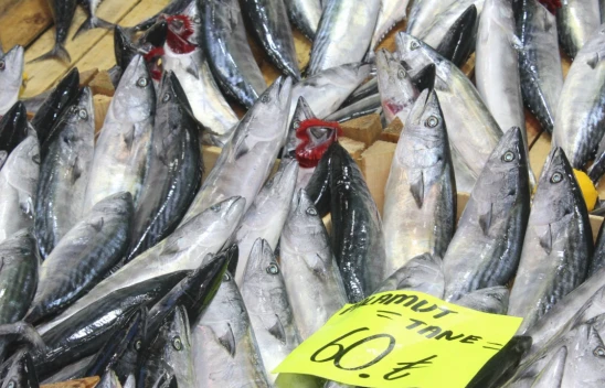 Kastamonulu balıkçılardan kötü haber!