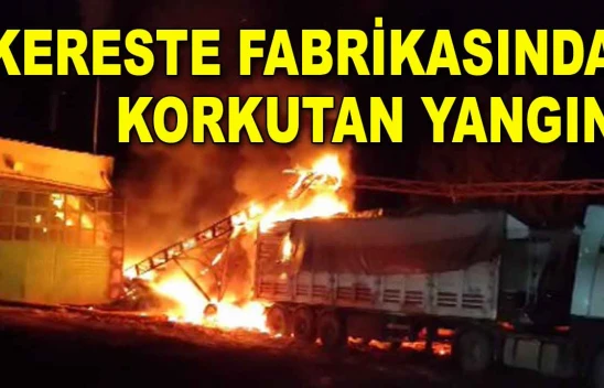 Kereste Fabrikasında Korkutan Yangın