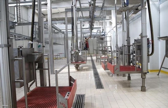 Kesimhanelere Kamera Zorunluluğu Getiriliyor