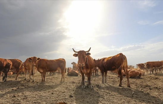 Kesintilerde Değişikliğe Gidildi
