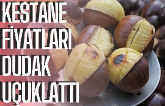 Kestanenin kilo fiyatı şaşırttı