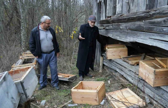 Ayılar İndikleri Köyde 50 Arı Kovanını Parçaladı
