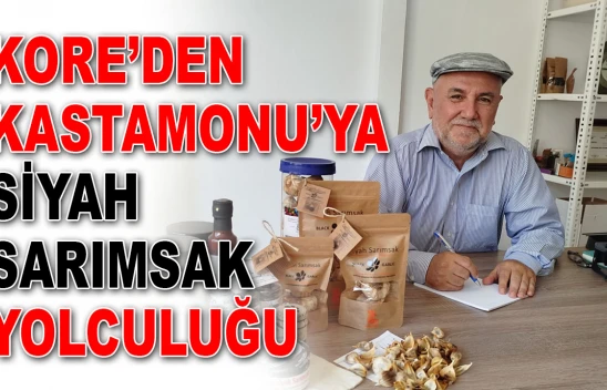 Kore'den Kastamonu'ya Siyah Sarımsak Yolculuğu