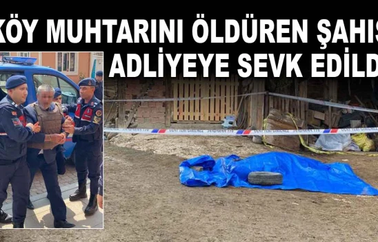 Köy Muhtarını Öldüren Şahıs Adliyeye Sevk Edildi