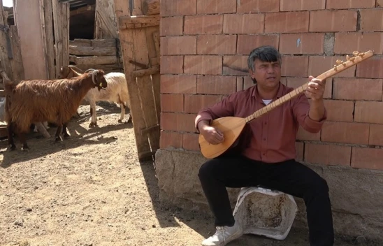 Koyunlarla Koro Kurdu