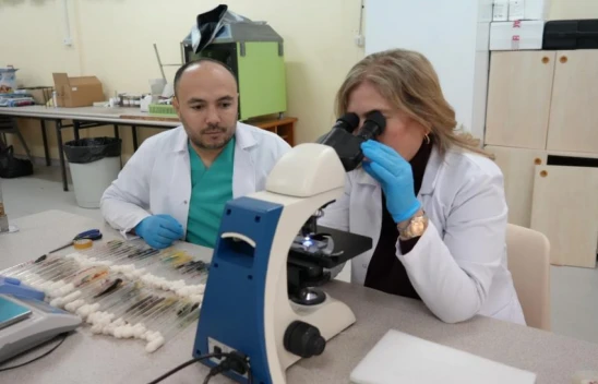 Küf Ve Mantar Çeşitleri Araştırıldı