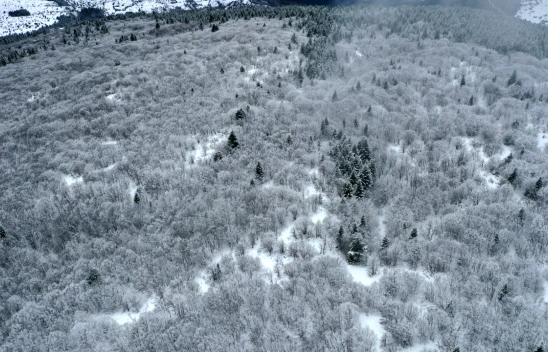 Küre Dağları Dron İle Görüntülendi