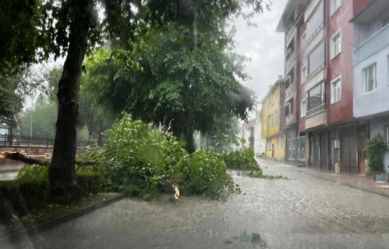 Kuvvetli Yağış O İlçeleri Zorladı