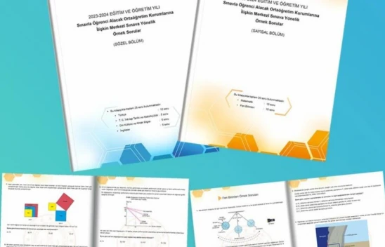 LGS'ye İlişkin Örnek Sorular Yayımlandı