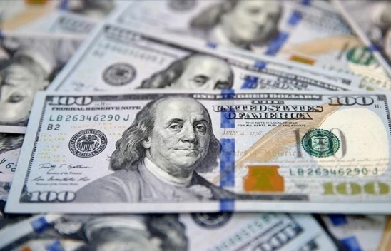 Merkez Bankası Rezervleri 166 Milyar Dolar Oldu