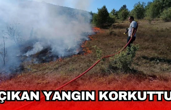 Mezarlıkta Çıkan Yangın Ormana Sıçramadan Söndürüldü