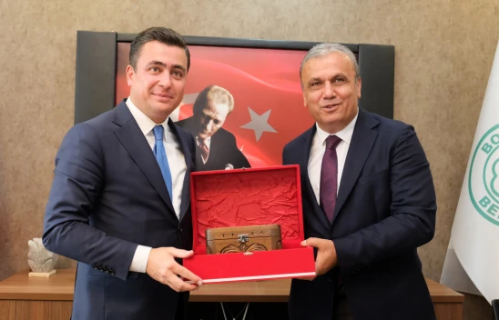 Milletvekili Gökçek, Bozkurt'u İnceledi 