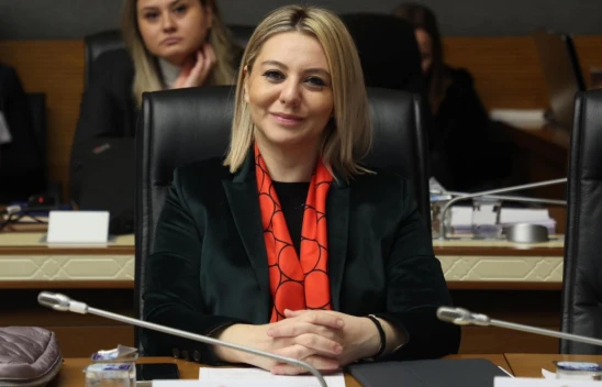 Milletvekili Serap Ekmekci, TBMM'de O Toplantıya Katıldı