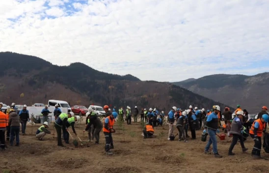 Milli Ağaçlandırma Günü Kapsamında Etkinlik Yapıldı