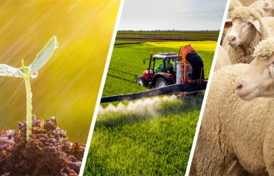 Milyar 211 Milyon Tl'lik Destek Aktarıldı