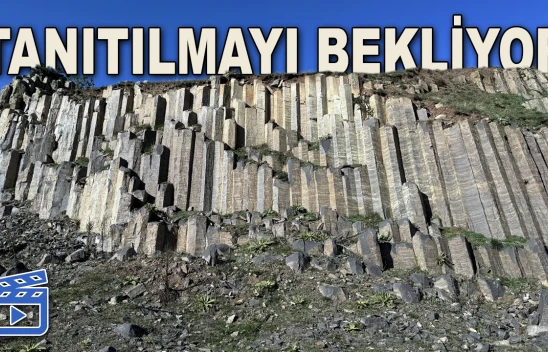 Milyonlarca Yıl Önce Oluştu, Tanıtılmayı Bekliyor