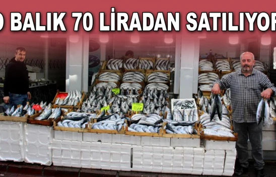 O Balık 70 Liradan Satılıyor