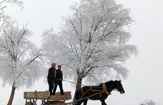 O İlçe -15,5'i Gördü