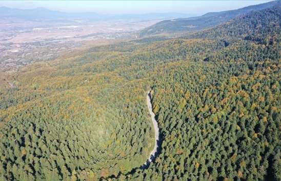 O Park Hazan Mevsiminin Renkleriyle Süslendi