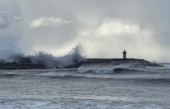 O Türler Deniz Ekosistemini Tehdit Ediyor