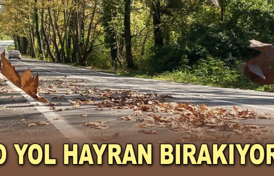 O Yol Hayran Bırakıyor
