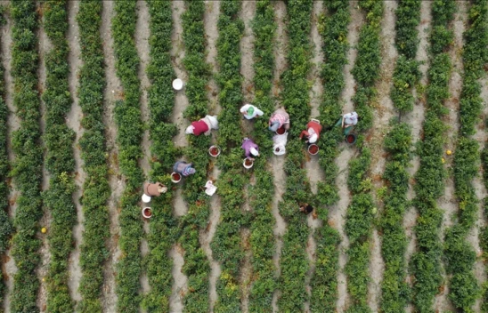 Ödemeler Bugün Yatacak