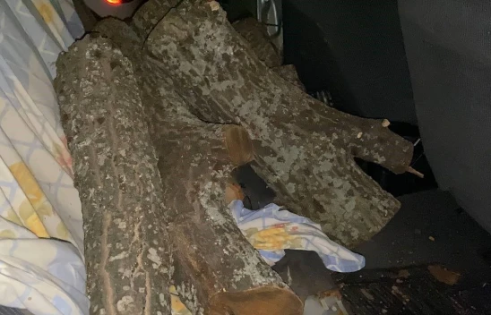 Odun Hırsızı Suçüstü Yakalandı