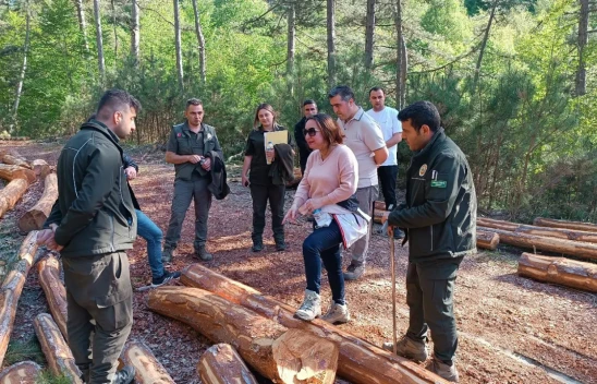 Orman Bakım Çalışmalarına Denetim
