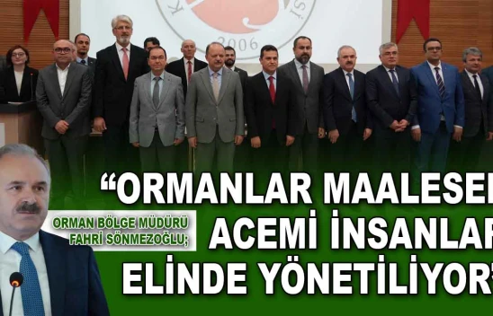 Orman Bölge Müdürü Sönmezoğlu: 'Ormanlar Maalesef Acemi İnsanlar Elinde Yönetiliyor'