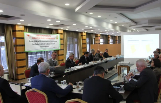 Orman Mülkiyeti İle Kadastro Çalışmaları Görüşüldü