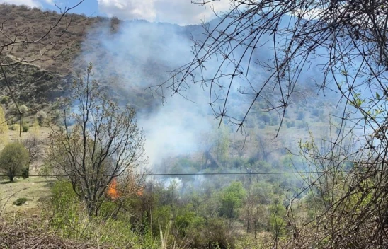 Orman Yangını Korkuttu