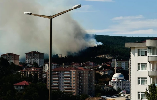 Orman Yangını Söndürüldü