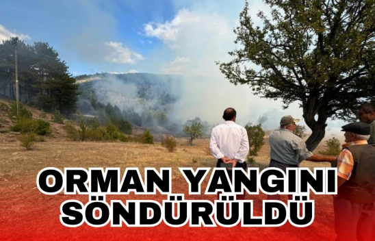 Orman Yangını Söndürüldü