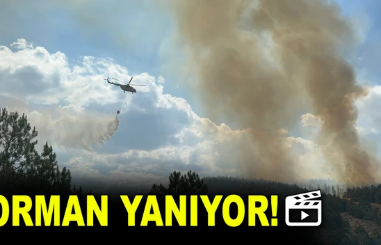 Orman Yangınına Müdahale Ediliyor