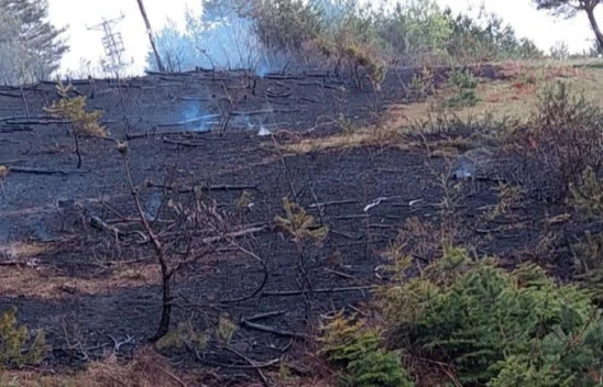 Ormanda Çıkan Yangın Büyümeden Söndürüldü