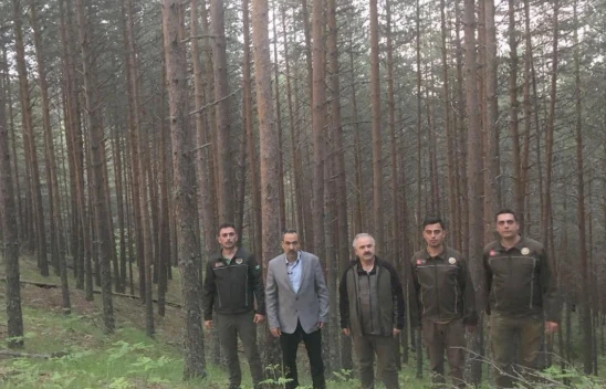 Ormanlar Arasındaki Farkı Gördüler