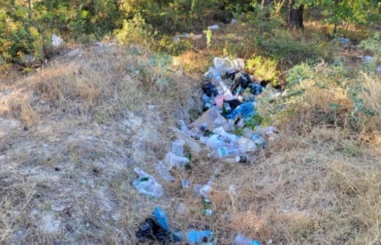 Ormanlardaki Gizli Tehlike!