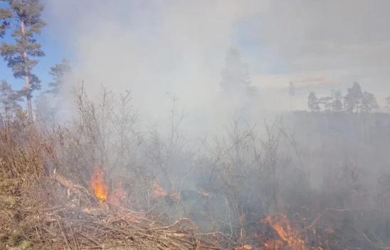 Ormanlık Alanda Çıkan Yangın Söndürüldü