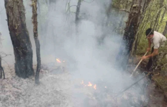 Yangın Büyümeden Söndürüldü