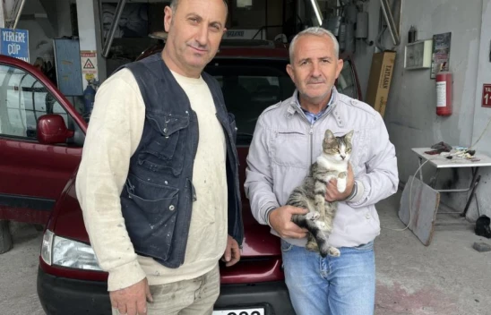 Oto Tamircisi Kedi: Nazlı