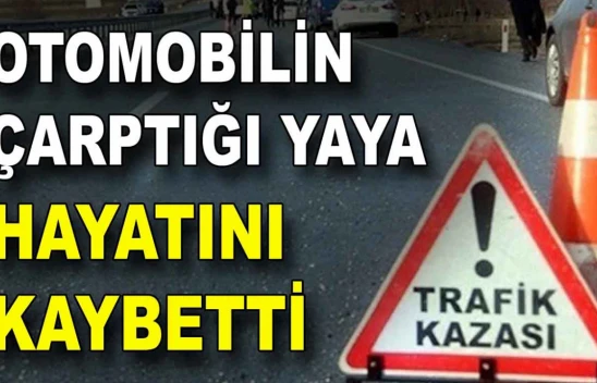 Otomobilin Çarptığı Yaya Hayatını Kaybetti