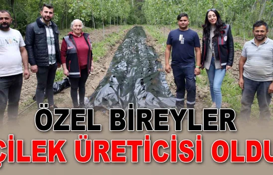 Özel Bireyler Çilek Üreticisi Oldu